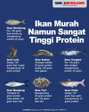 7 Jenis Ikan dengan...