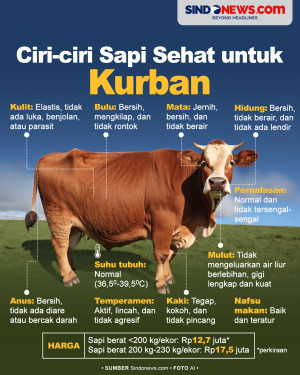 Memilih Sapi yang Bagus...