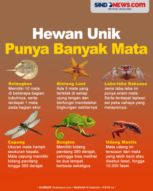 Ada yang sampai 10 Ribu,...