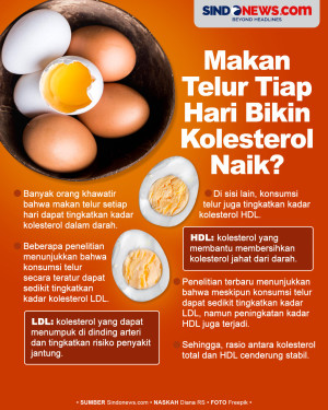 Apakah Makan Telur Setiap...