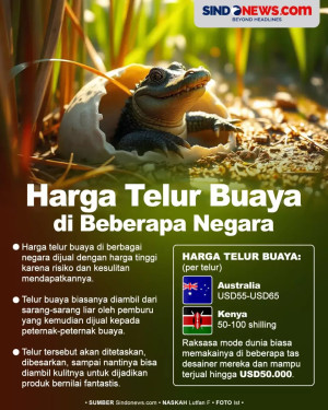 Harga Telur Buaya di...