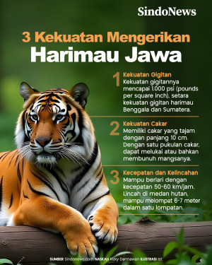 3 Kekuatan Mengerikan...