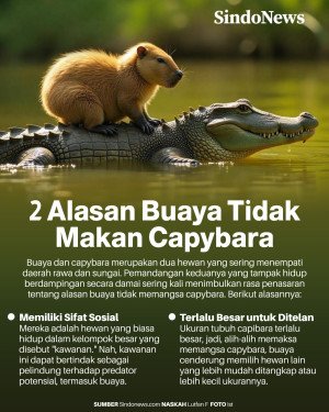 2 Alasan Buaya Hidup...