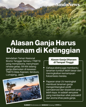 Ini Alasan Mengapa Tanaman...