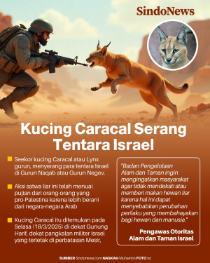Kucing Caracal Serang...