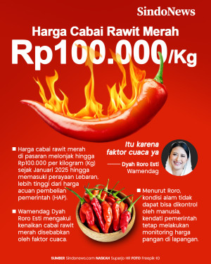 Harga Cabai Rawit Merah...