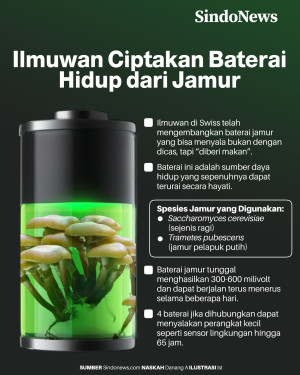 Ilmuwan Swiss Berhasil...