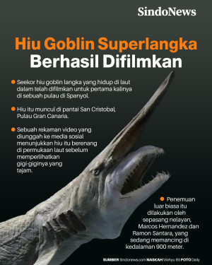 Hiu Goblin Superlangka...