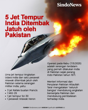 Jet Tempur Rafale, MiG-29,...