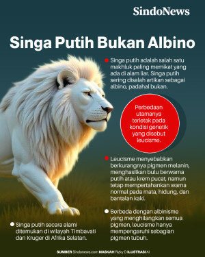 Ini Penjelasan Warna...