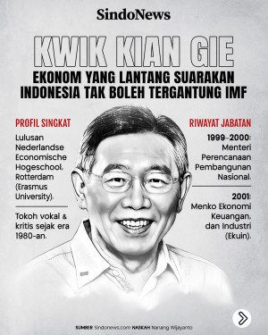 Kwik Kian Gie, Ekonom...