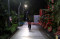 Sunyinya Taman Bungkul...