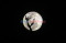 Melihat Fenomena Supermoon...
