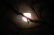 Melihat Fenomena Supermoon...