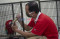 Terdampak Covid-19,...