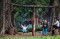 Taman Tomang, Alternatif...