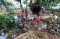 Taman Tomang, Alternatif...