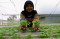 Pandemi COVID-19, Permintaan...