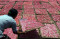Produksi Kerupuk Merah...