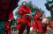 Anggota Dewan Positif...
