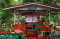 Sekolah Gazebo di Makassar...