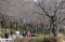 Maret di Seoul