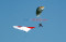 8 Pilot Paramotor Indonesia...