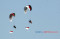 8 Pilot Paramotor Indonesia...