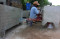 Pengrajin Pot Tanaman...