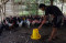 Selama Pandemi Covid-19,...