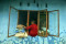 Ratusan Rumah di Ciamis...