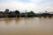 Meskipun Bogor Hujan,...