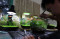 Bisnis Aquascape Mini...