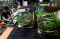 Bisnis Aquascape Mini...
