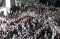 Bentuk Pagar Betis,...