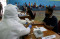 Cegah Penyebaran Covid-19,...