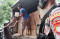 Truk Pengangkut Logistik...