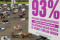 Letakkan 500 Pasang...