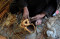 Melihat Proses Pembuatan...