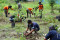 Satpol PP Jatim Gelar...