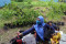 Satpol PP Jatim Gelar...