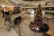 Semarakkan Natal, Senayan...