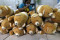 Terdampak Covid-19,...