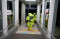 Brimob Polri Gelar Simulasi...