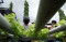 SMA Negeri 10 Makassar...