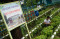 SMA Negeri 10 Makassar...