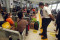 Stasiun Pasar Senen...