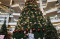 Pohon Natal Raksasa...