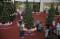 Pohon Natal Raksasa...