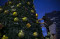 Pohon Natal Raksasa...